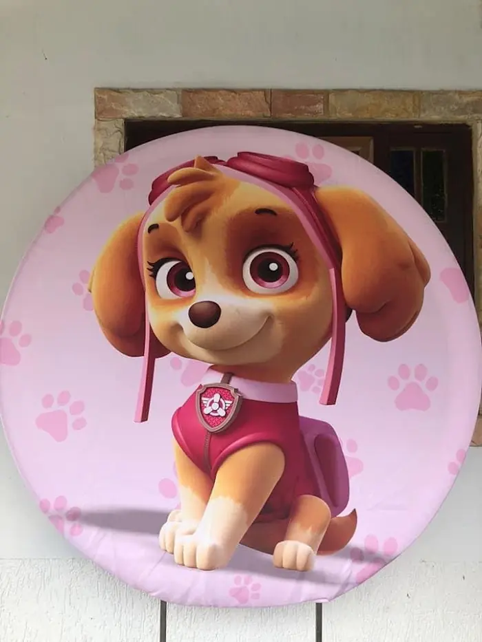Decoração Sky (solicitar foto do kit montado) - Verônica Festas